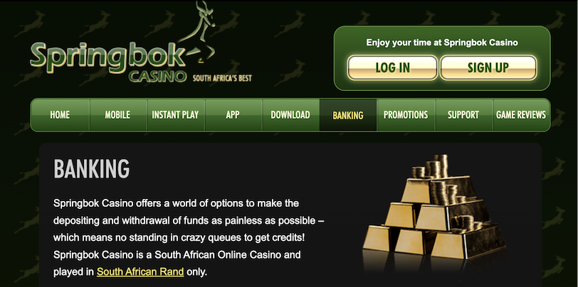 Springbok Casino Payouts